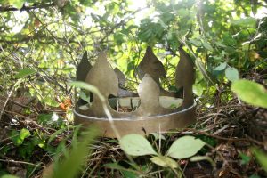 Truro School's 'This Sceptered Isle' @ The Burrell Theatre